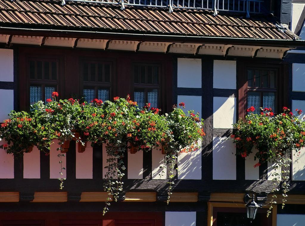 Pension Landhaus Machold Friedrichroda Luaran gambar